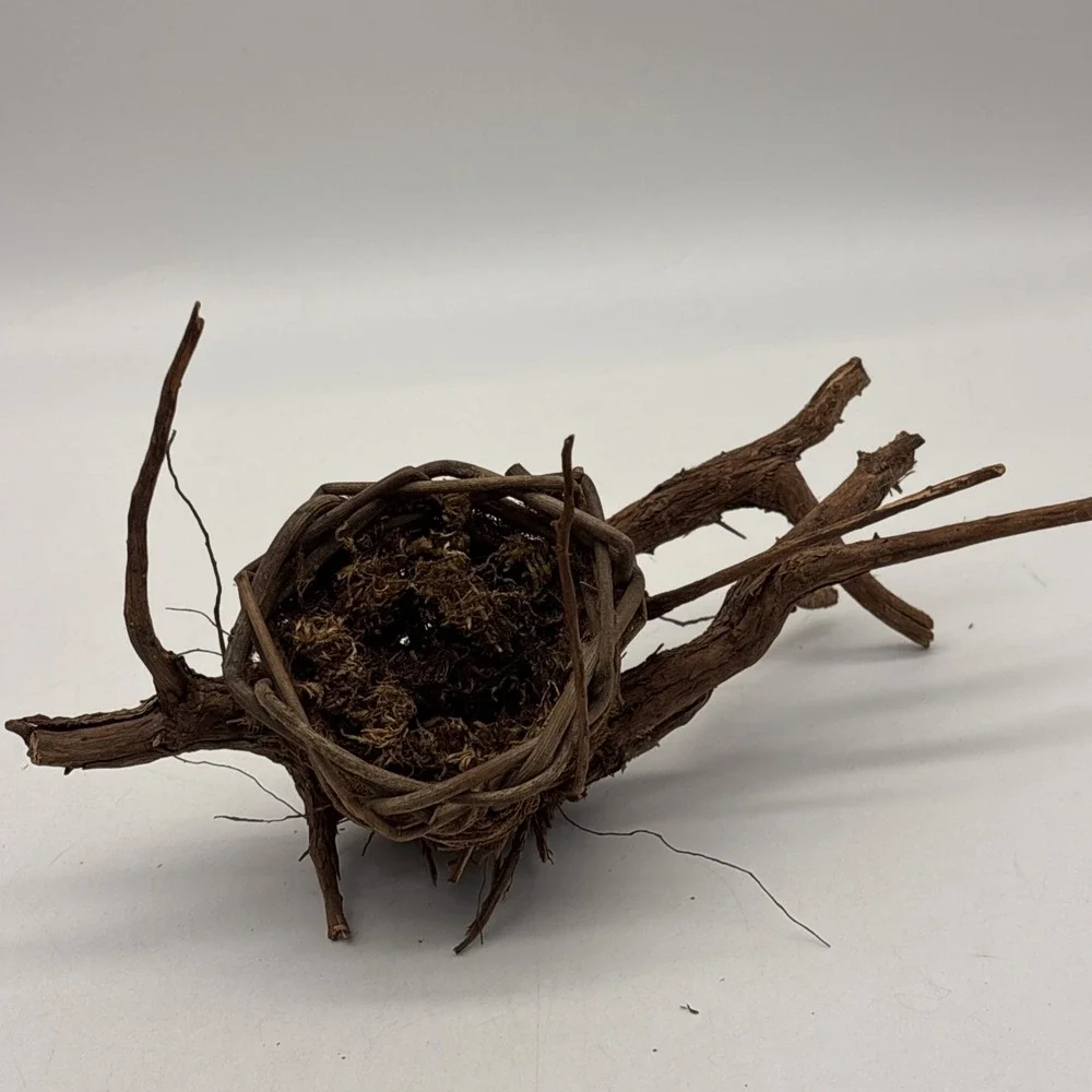 Bird nest  Garden decorations, home, floral accent, crafts, center piece